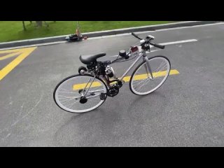 bicycle autopilot