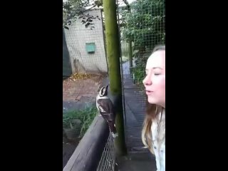 sang with a bird