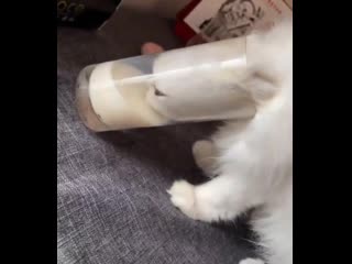 hard-to-reach milk