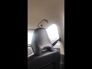 spider in the car