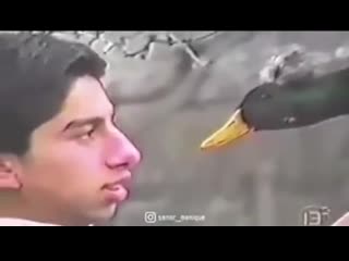 hypnoduck