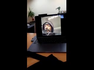 reaction snoop