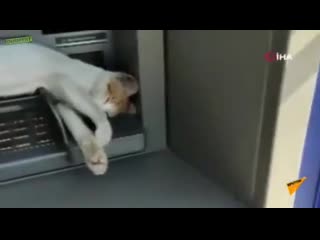 atm is not working