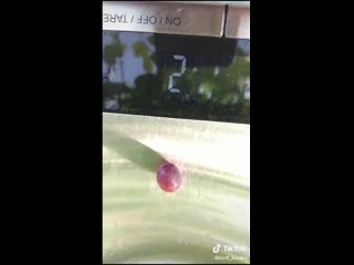 interesting grape