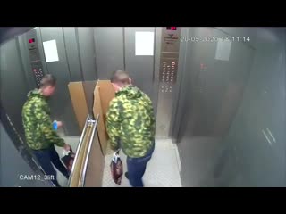 animal in the elevator