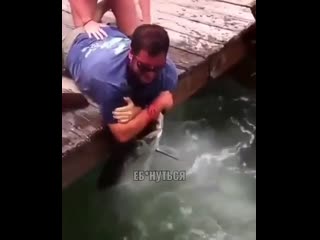 stump fishing