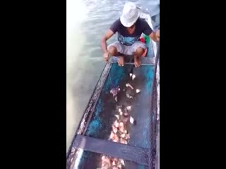 fish magnet